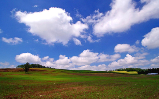 453263 (a): :1440x900